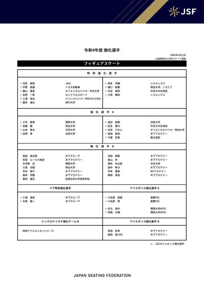 关于通俗黉舍教师成为乌克兰总统的政治笑剧。 他试图在没有“总统特权”的环境下过普通糊口，尽力打造国度的新面孔，并与赃官贪吏作斗争。